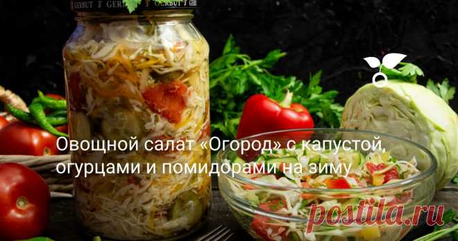 Овощной салат «Огород» с капустой, огурцами и помидорами на зиму Овощной салат «Огород» с капустой, огурцами и помидорами — очень вкусный и хрустящий. Предлагаю рецепт на литровую банку, такая фасовка удобна и для маленькой компании, и для большой семьи.