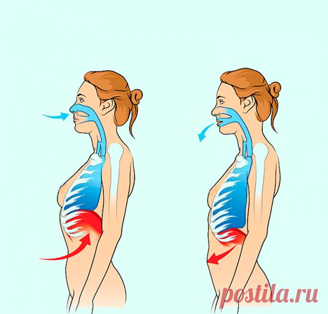 Дыхательная гимнастика по Бутейко Простая дыхательная гимнастика, разработанная доктором К.П. Бутейко, даст возможность сократить медикаментозное вмешательство, снизить динамику рецидивов заболевания и минимизировать риск осложнений.