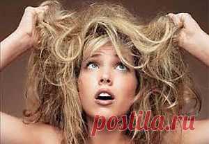 Сухие волосы. Как бороться с сухостью и ломкостью волос? |