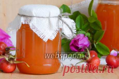 Сироп из шиповника рецепт с фото, как приготовить на Webspoon.ru