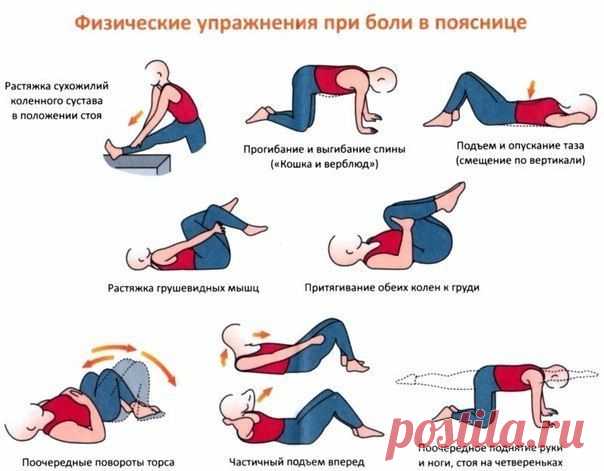 Боли в пояснице - комплекс упражнений