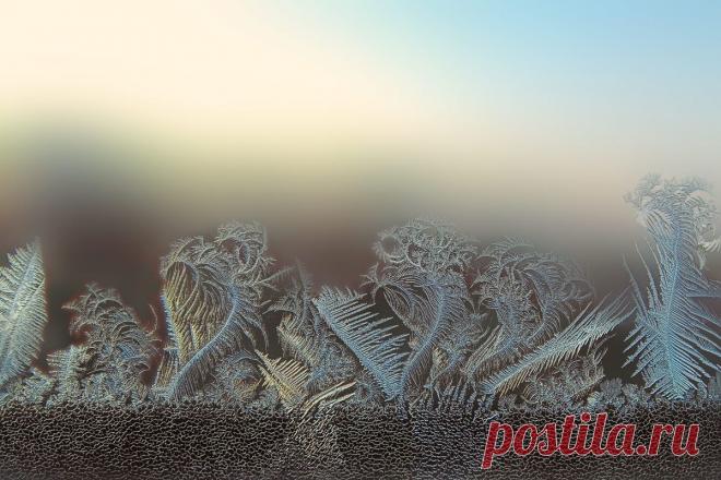 Фото Про замёрзшее стекло и сказки Пушкина... - фотограф Владимир Панасюк - разное, природа - ФотоФорум.ру