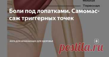Боли под лопатками. Самомассаж триггерных точек Статья автора «Йога для начинающих для здоровья» в Дзене ✍:  Триггерная точка в плече может превратить плечевые мышцы в источник дискомфорта или даже изнурительной боли.
