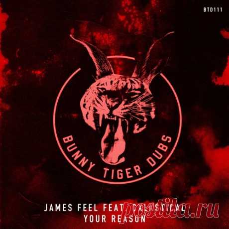 James Feel &amp; Cxlxstical – Your Reason [BTD111]