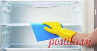 Средства от неприятного запаха в холодильнике