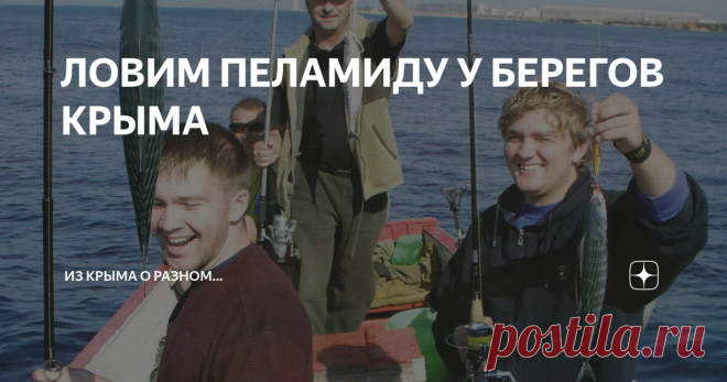 ЛОВИМ ПЕЛАМИДУ У БЕРЕГОВ КРЫМА Согласитесь, в самом названии этой рыбы присутствует определенный намек на ее образ жизни. Пеламида — рыба пелагическая, то есть держащаяся в средних слоях акваторий Черного и Средиземного морей. Особо подчеркнем, именно из последнего через Босфор и Дарданеллы она и приходит поздней осенью, в предзимье к берегам нашего полуострова, где может жировать вплоть до начала жаркого курортного