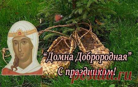 Люди часто публикуют в социальных сетях смешные картинки и анимации на тему праздника, а так же желают друг другу здоровья, удачи и благополучия в новом году.