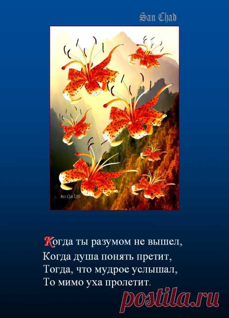 САН ЧАД * ИЗБРАННЫЕ СОФИТЫ – 120 фотографий