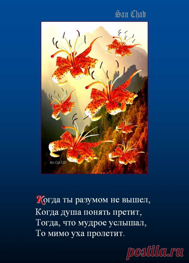 САН ЧАД * ИЗБРАННЫЕ СОФИТЫ – 120 фотографий