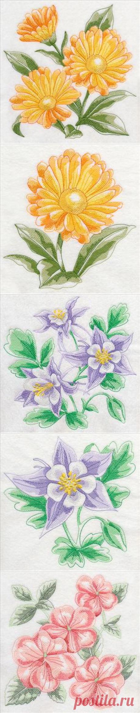 Machine Embroidery Designs at Embroidery Library! - New This Week