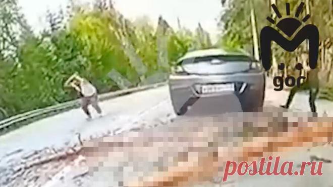 На Кавказе семья остановилась для фото и лишилась сына из-за упавшего сухого дерева. Ребенок из Саратова пострадал во время отдыха с семьей на Кавказе. Об этом сообщает Telegram-канал Mash Gor. Инцидент произошел на Домбае. На кадрах с места происшествия заметно, как семья бежит в машину, но в какой-то момент дерево резко ...