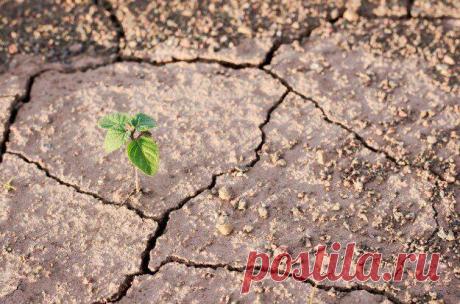 ТРЕЩИНЫ ВРЕМЕНИ
Мы приходим на землю как сгусток времени, и дойдя до какого-то возраста, замедляемся, превращаясь в сгусток пространства. Время при этом останавливается. Те, у кого оно продолжает идти, с удовольствием берут на себя ответственность за окружающий мир и за себя. Остальные избегают обязательств: например, заботу о своем теле отдают в руки медицины, духовное развитие поручают религиям. […]
Читай пост далее на сайте. Жми ⏫ссылку выше