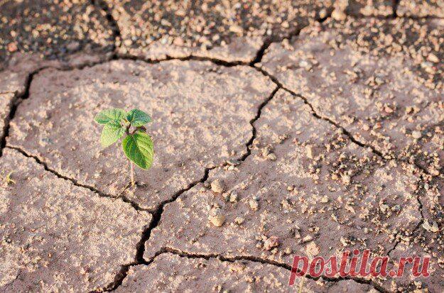ТРЕЩИНЫ ВРЕМЕНИ
Мы приходим на землю как сгусток времени, и дойдя до какого-то возраста, замедляемся, превращаясь в сгусток пространства. Время при этом останавливается. Те, у кого оно продолжает идти, с удовольствием берут на себя ответственность за окружающий мир и за себя. Остальные избегают обязательств: например, заботу о своем теле отдают в руки медицины, духовное развитие поручают религиям. […]
Читай пост далее на сайте. Жми ⏫ссылку выше