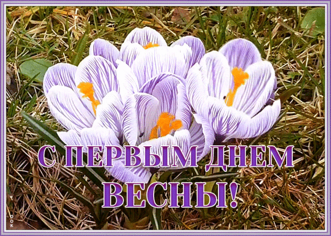 Открытка первый день весны с крокусами | Открытки Онлайн