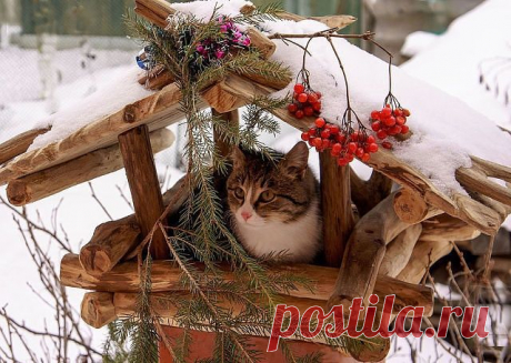 Домик в деревне:)