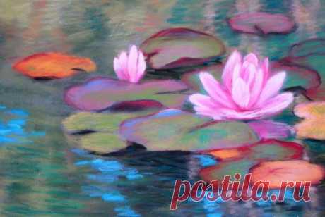 original pastel painting, waterlilies pastel sketch of some lovely pink waterlilies I painted this on artists sandpaper for maximum colour intensity.