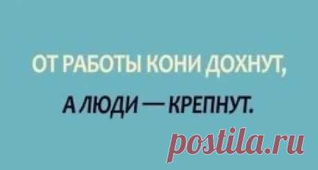 ​50 известных пословиц и поговорок в их полных версиях — Интересные факты