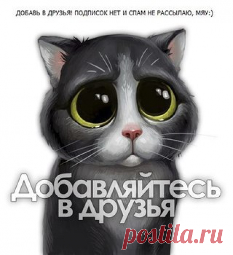 Фотографии #Добавь меня в #друзья! – 2 альбома