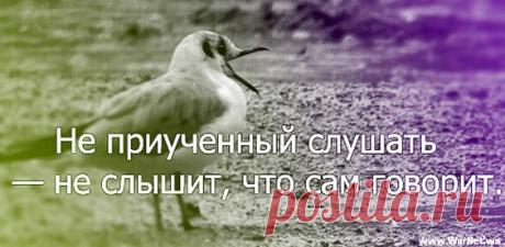 интересные картинки с надписями со смыслом : 14 тыс изображений найдено в Яндекс.Картинках