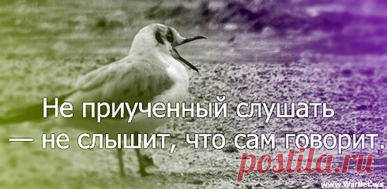 интересные картинки с надписями со смыслом : 14 тыс изображений найдено в Яндекс.Картинках