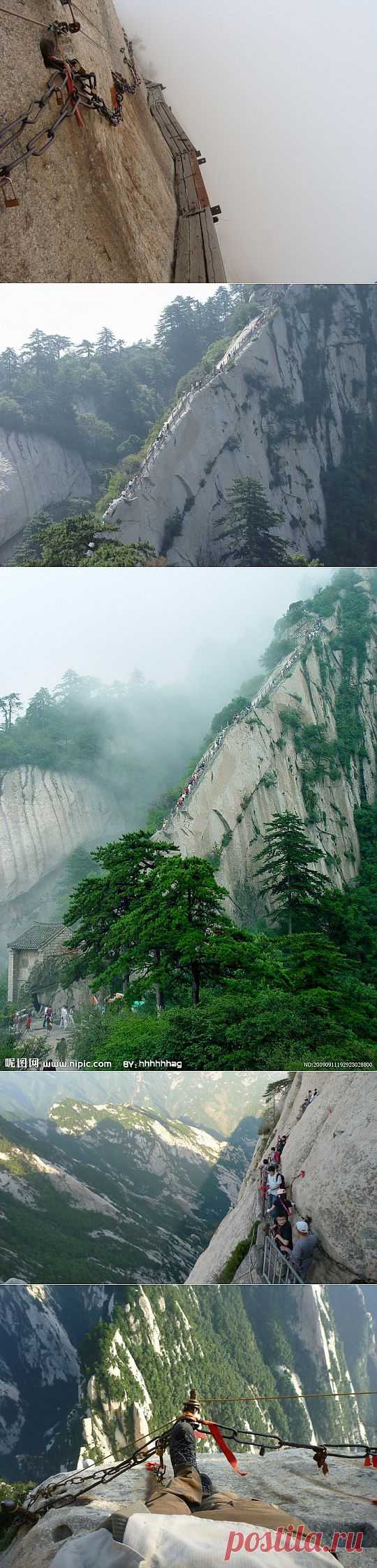 (+1) сообщ - Тропа для смелых | Наука и техника