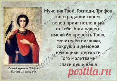Мой Мир@Mail.Ru