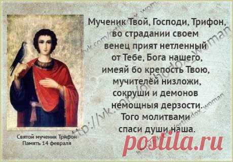 Мой Мир@Mail.Ru