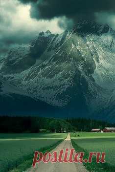 Красный ковер / Surfingbird знает всё, что ты любишь