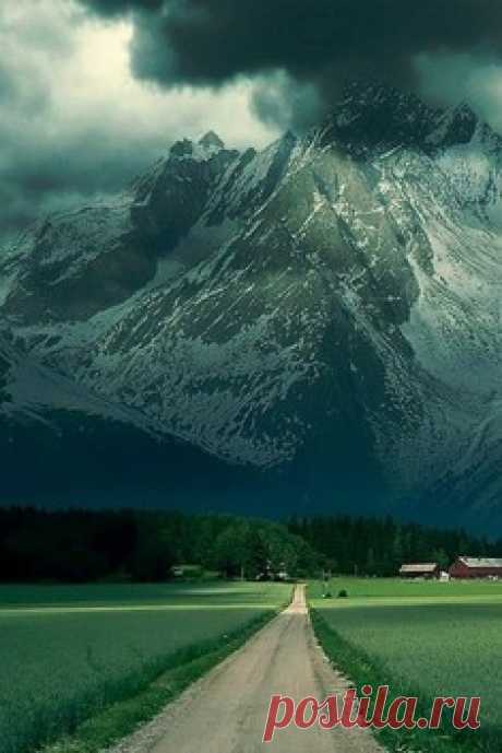 Красный ковер / Surfingbird знает всё, что ты любишь