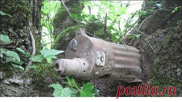 МЫ - из СССР!
Виктор Ульяновский