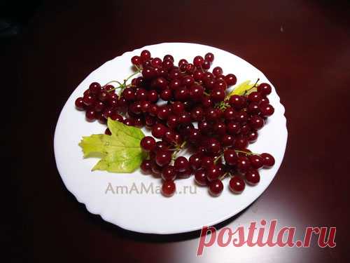 Калина на зиму (в сахаре)