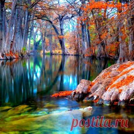 texas