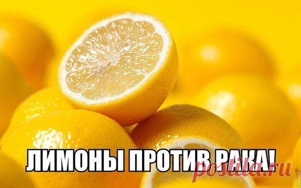 EVE | Женский Журнал
