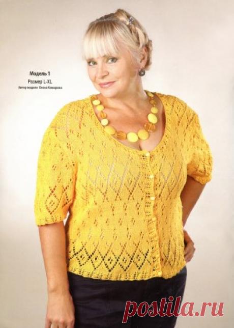 Жакет спицами для полных женщин. Вязание спицами для полных женщин с описанием | Домоводство для всей семьи.