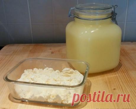 Раскрываем все тайны молочной сыворотки: чем она так полезна, какая бывает и что с ней можно пригото