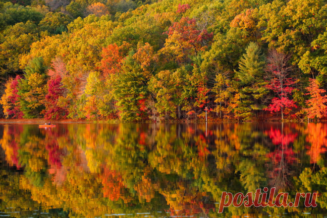 Magic Kayak (11 03 2017) It was a fantastic day for Fall color photography at Yankee Springs yesterday.  Although the colors this year are not quite as vivid and bright as in years past, the light yesterday evening made up for it (gentle, warm and even).  I melted a memory card on both the drone and my DSLR. :-)  Many more shots to come!