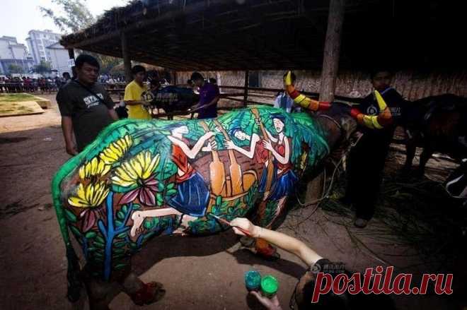 Боди-арт на буйволах в Китае - Путешествуем вместе