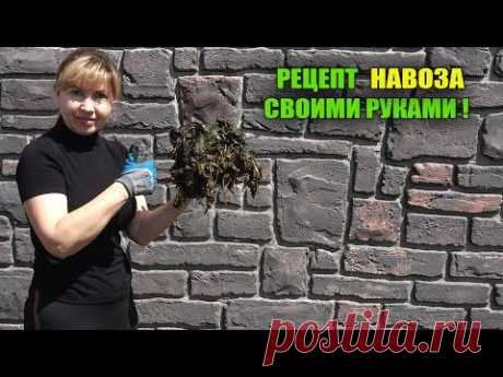 НИКОГДА НЕ ПОКУПАЙТЕ НАВОЗ!!!ПРИГОТОВЛЕНИЕ НАВОЗА СВОИМИ РУКАМИ ИЗ ТРАВЫ!