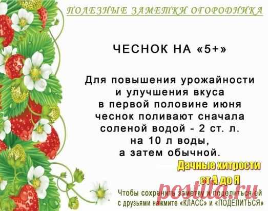 (99+) Одноклассники
