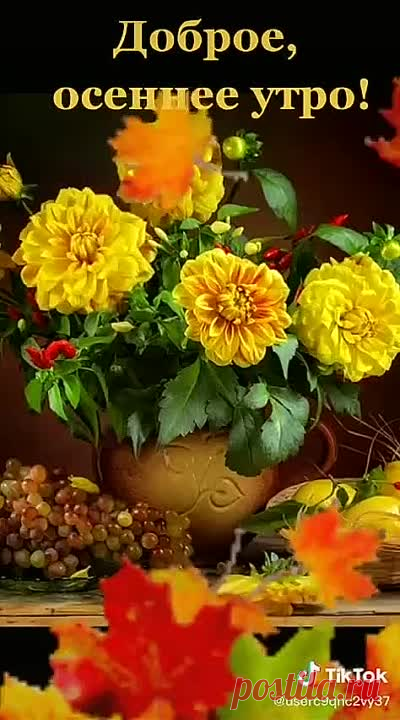 video_2544441693581.mp4