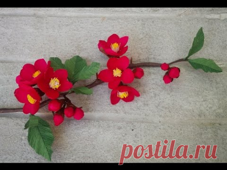 ABC TV | How To Make Chaenomeles Japonica Paper Flowers From Crepe Paper - Craft Tutorial