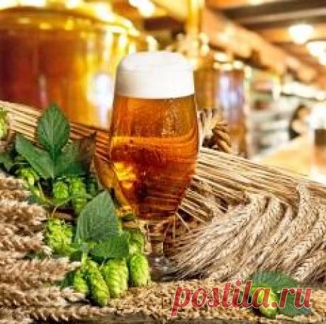 Сегодня 23 августа памятная дата Пивной фестиваль в Петерборо