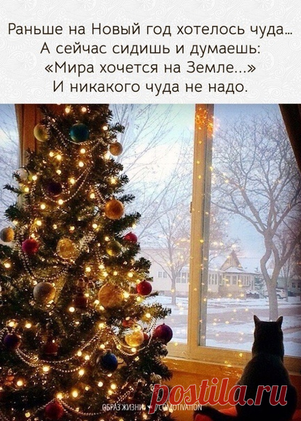 ОБРАЗ ЖИЗНИ|психология,отношения,общество|цитаты