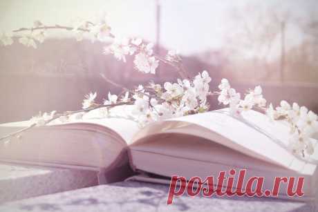 Дневник The_hellebore-flower