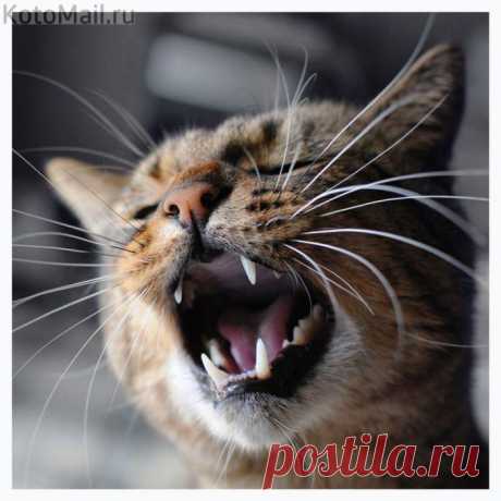 Участник конкурса &quot;Лучшая песня марта!&quot;