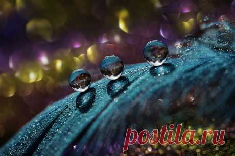 Фото и рисунки, арт и креативная реклама