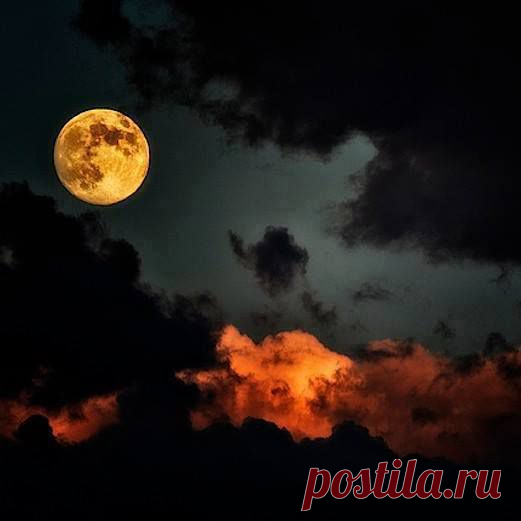 Шурик Захаров поделился фотографией Andreea...