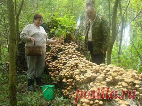 И бывает же такое!!!!!
На Волне Позитива