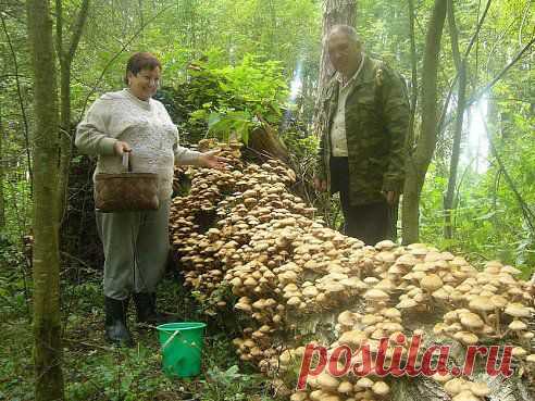 И бывает же такое!!!!!
На Волне Позитива