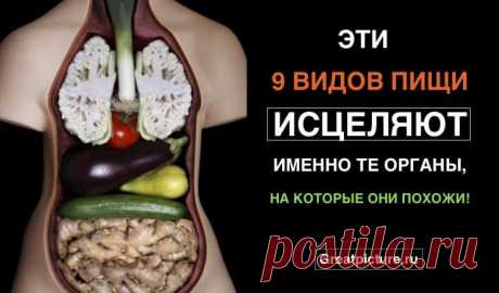 Эти 9 видов пищи исцеляют именно те органы, на которые они похожи!